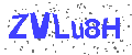 Please type the characters shown